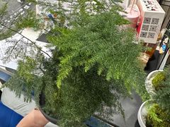 -帝京日语(春熙路旗舰校区)