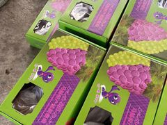 -马陆小张葡萄园农家乐