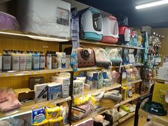 -袖虎宠物·金渐层缅因猫舍(灵芝店)