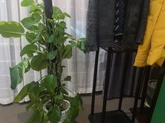 -竟陵水茶苑(首享科技大厦店)