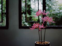 -杭州植物园