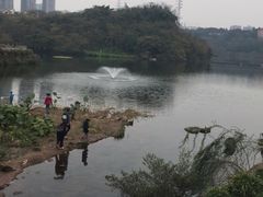 -重庆彩云湖湿地公园