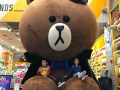 -line friends(明洞旗舰店)