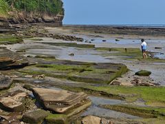 -涠洲岛香蕉鸡