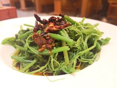 -新凯里酸汤鱼(飞山街店)