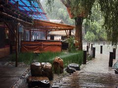 -大鹅岛绿色生态美食园