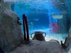 -沈阳海洋探索中心