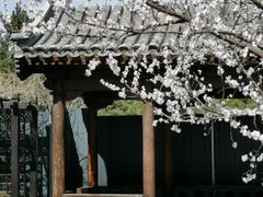 -三里河公园