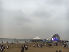 -碧海金沙