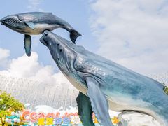 -海合安武汉极地海洋公园