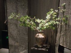 -扬州三韵足道会馆(学苑店)