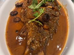 -邵年鸽(杨庄店)