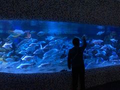 -成都浩海立方海洋公园