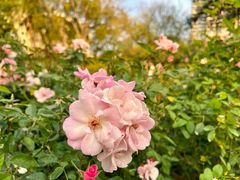 -人民公园(罗湖区)