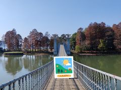 -东湖落雁景区