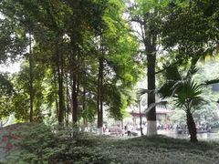 -温江公园