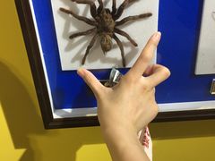 -上海昆虫博物馆