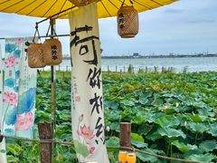 -七的湖·晚芳亭·阳澄湖农家菜·大闸蟹(莲花岛店)