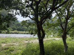 -九鲤溪瀑景区