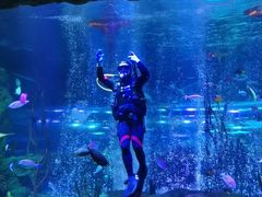 -沈阳海洋探索中心