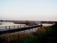 -包头南海湿地景区