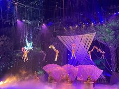 -广州长隆国际大马戏