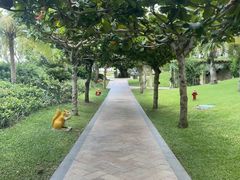 -三亚亚龙湾天域度假酒店