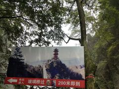 -塔云山