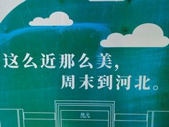 -白洋淀景区