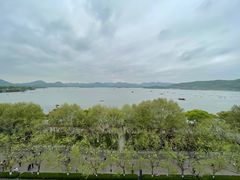 -杭州君悦酒店