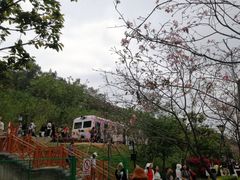 -小南山公园