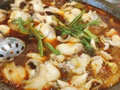 麻辣石锅鱼-都江堰石锅鱼
