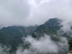 -牛背梁国家森林公园