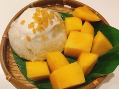 -GOGO Plate(成都太古里店)