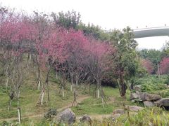 -飞凤山奥体公园