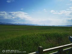 -野鸭湖国家湿地公园