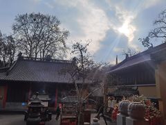 -灵谷景区