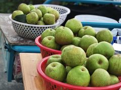 -云河农家乐饭店(福禄缘树山店)