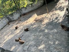 -台州府城(江南长城)