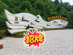-西双版纳原始森林公园