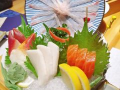 刺身拼盘-浦·传统日式料理(3 5 1 1 店)