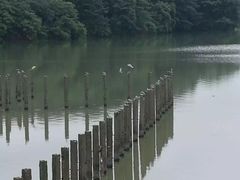 -艾溪湖湿地公园