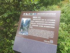 -苍山感通索道