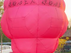 -西青郊野公园