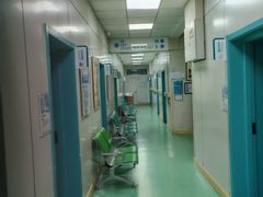 -北京观赏动物医院·24小时大型综合·猫专科·异宠专科