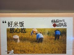 -杨厨的田园饭店(长城路店)