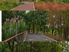 -上海山野camping·户外天幕烧烤·团建拓展营地