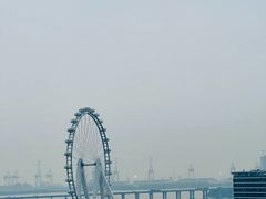 -南方医科大学深圳医院