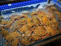 -小厨师·二十年沈家门小海鲜(百井坊巷店)