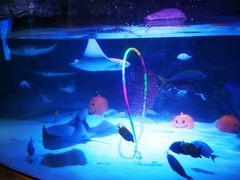 -沈阳海洋探索中心